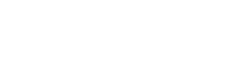 PayFast-Logo-DPO-White